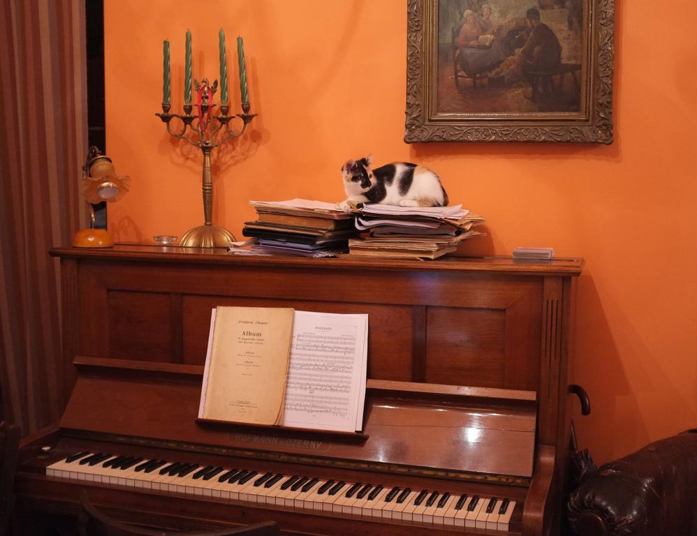 Piano Guest House Krakow Bagian luar foto